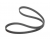 V?RIBBED BELT